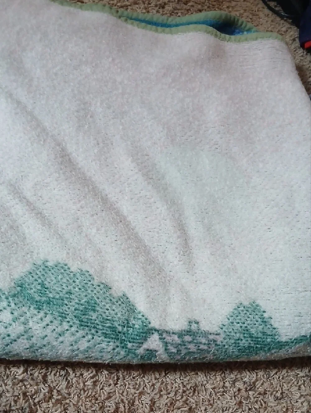 Scenic Green Print Throw Blanket